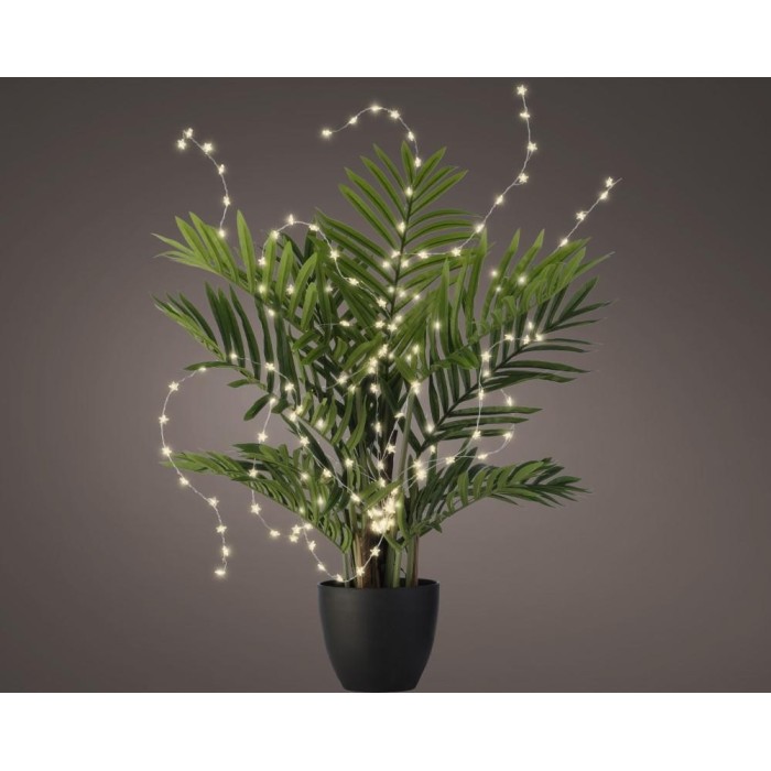LUCI PER PIANTA BIANCO CALDO H